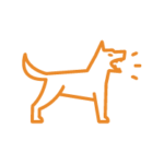 Dog Bites