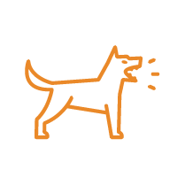 Dog Bites